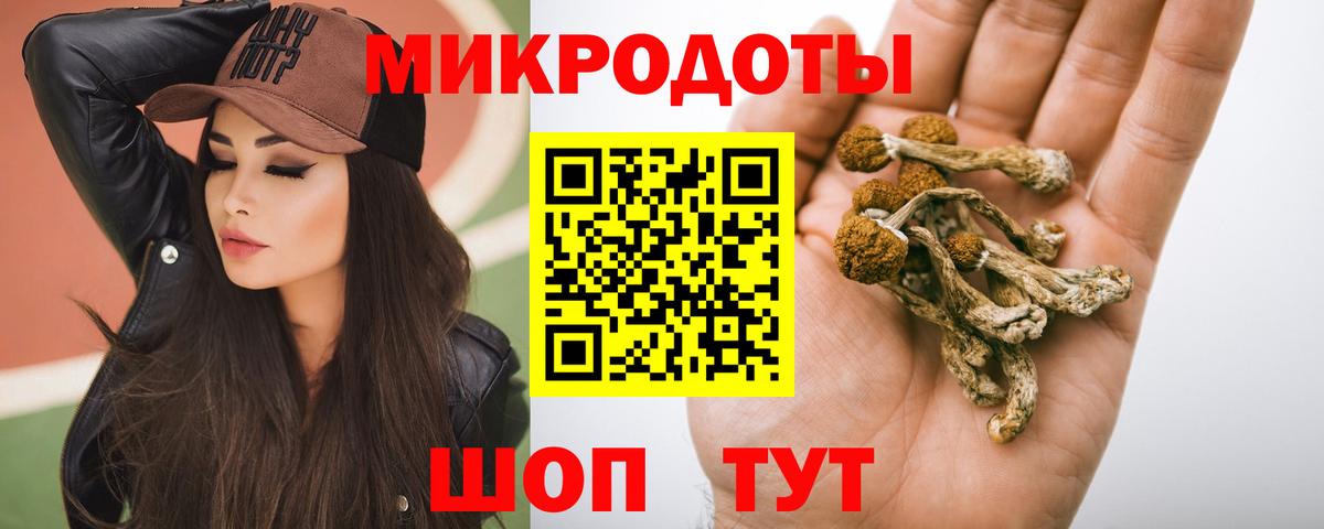 Галлюциногенные грибы Psilocybine cubensis  Галлюциногенные грибы мицелий  Вход с VPN  Алейск 